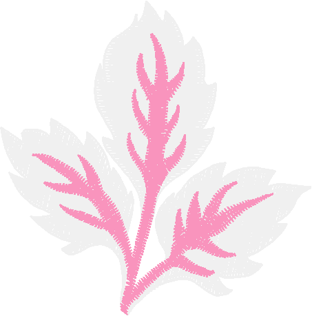 Elegant Accents 1 (13)