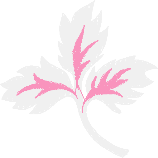 Elegant Accents 1 (6)