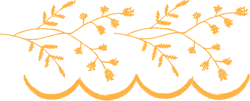 Elegant Borders 1 (8)