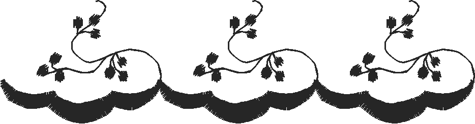 Elegant Borders 2 (18)