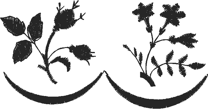 Elegant Borders 2 (4)