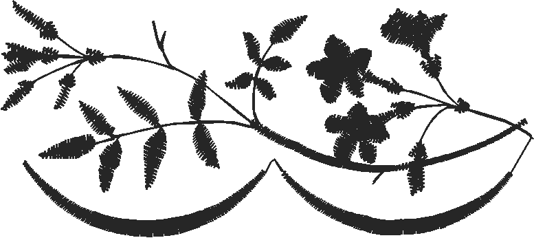 Elegant Borders 2 (5)