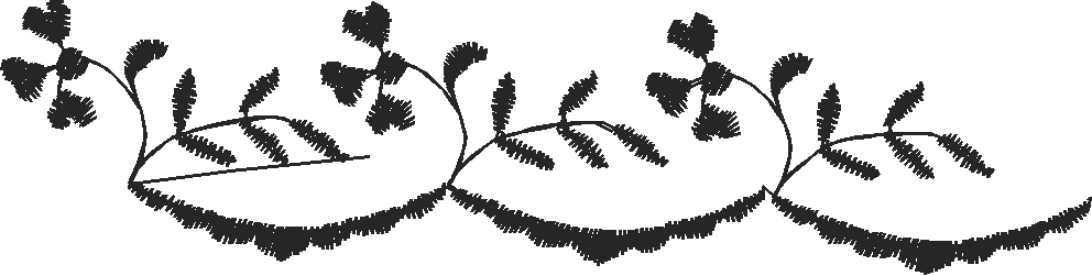 Elegant Borders 3 (22)