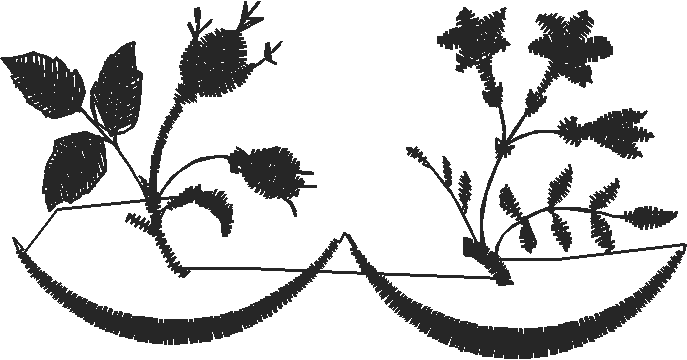 Elegant Borders 3 (4)