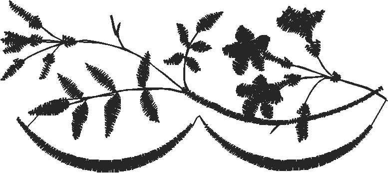 Elegant Borders 3 (5)