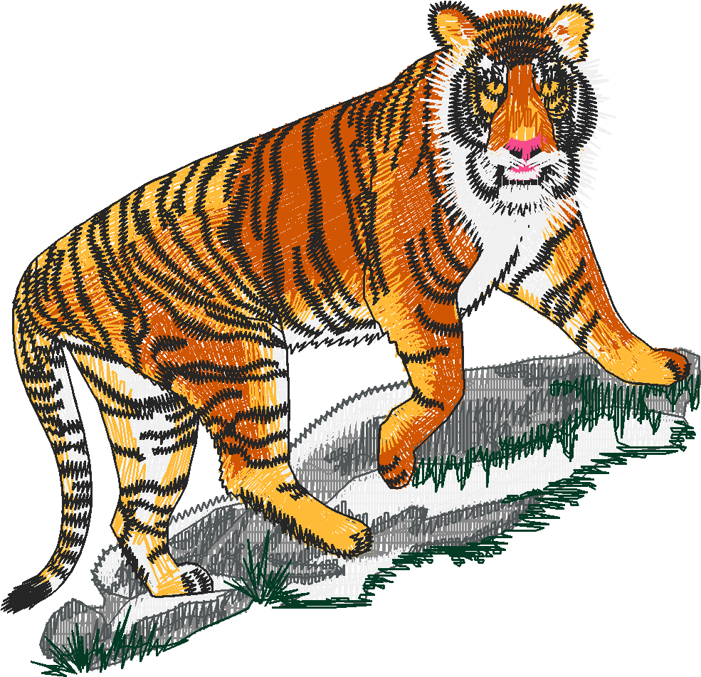 Bengaltiger
