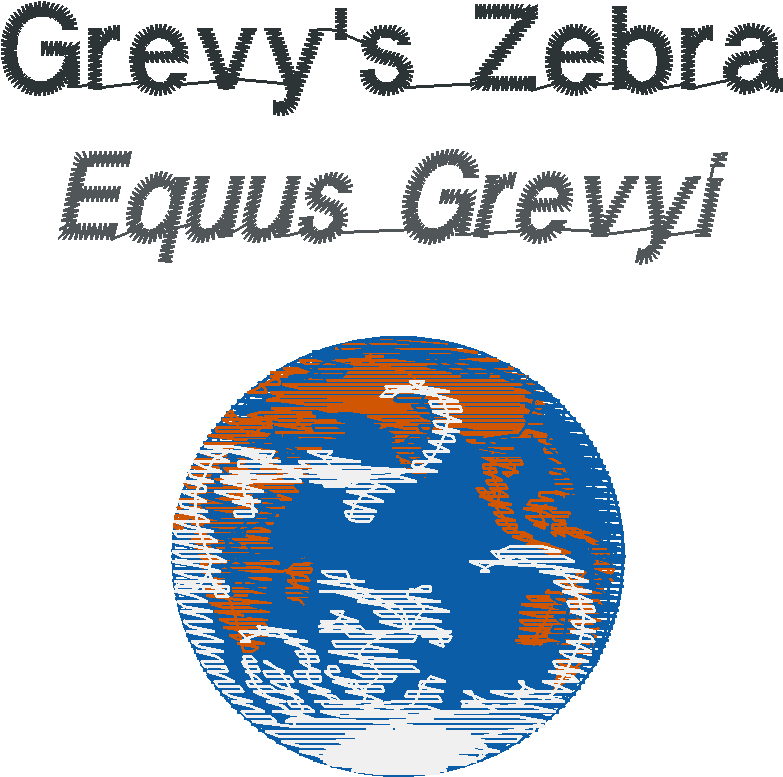 Grevy'szebraname