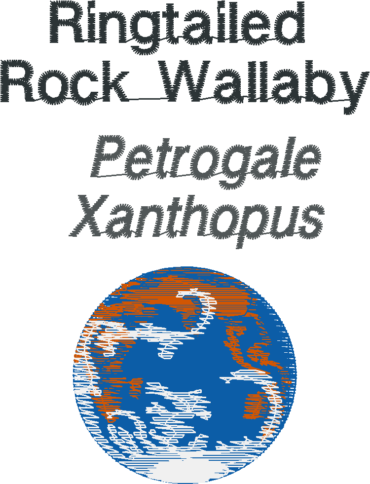 Ringtailrockwallabyname