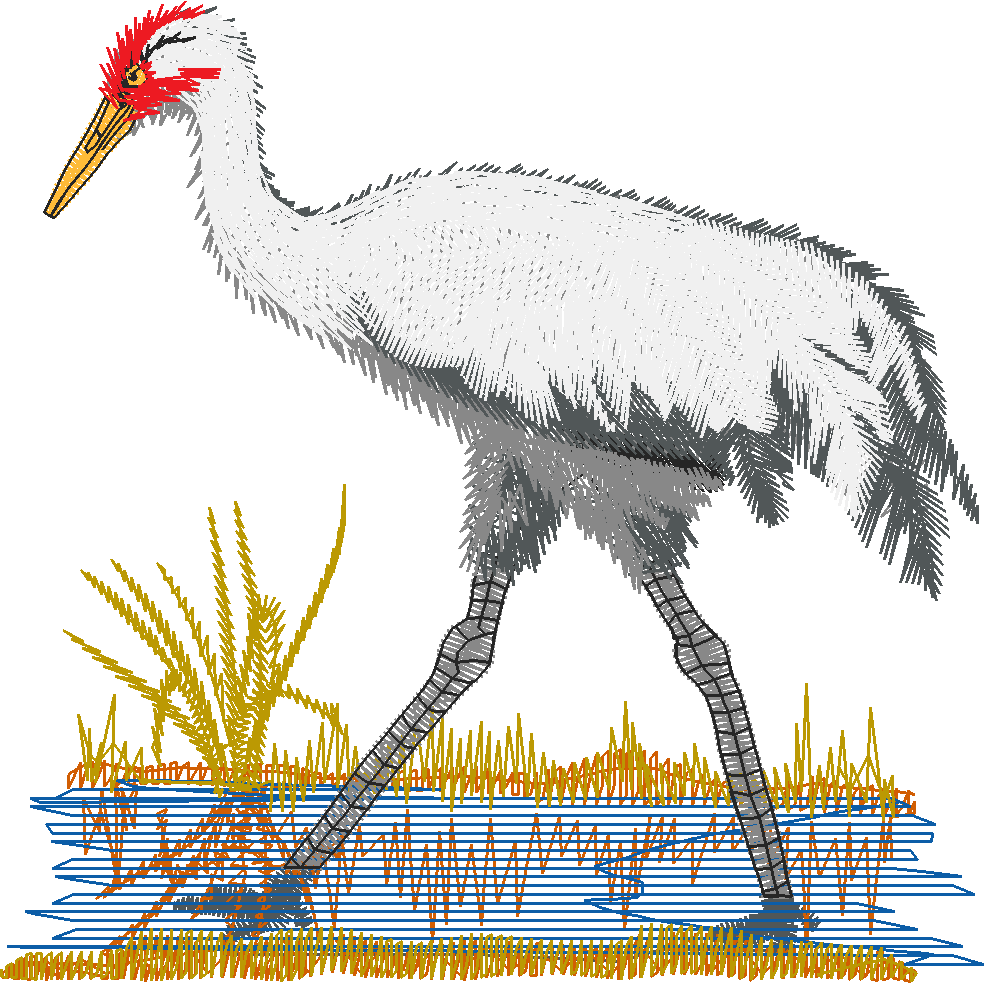 Whoopingcrane