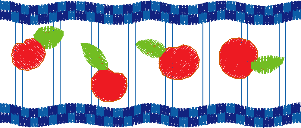 Everyday Fruit 1 (1)