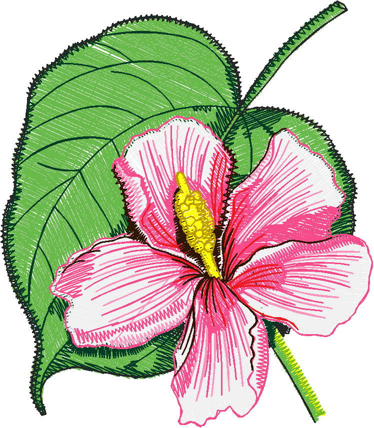 Exotic Flowers 1 (1)