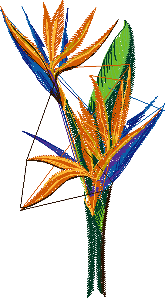 Exotic Flowers 1 (10)