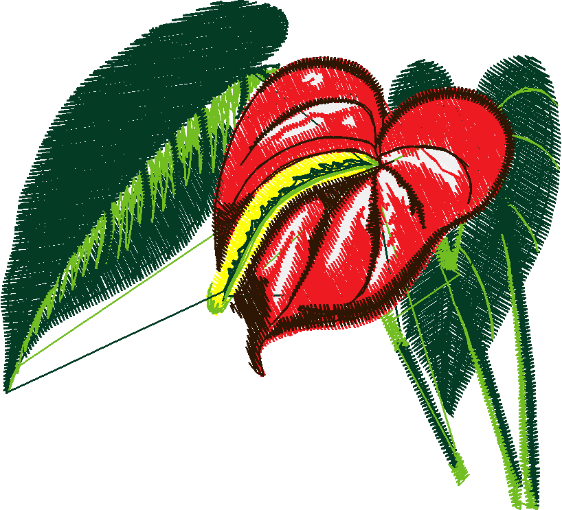 Exotic Flowers 1 (11)