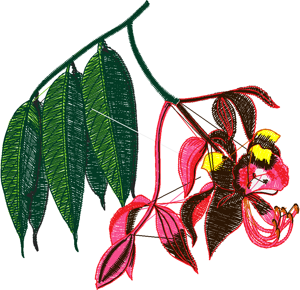 Exotic Flowers 1 (12)