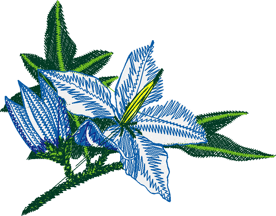 Exotic Flowers 1 (13)