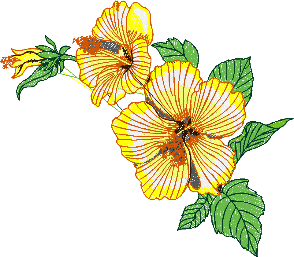 Exotic Flowers 1 (16)