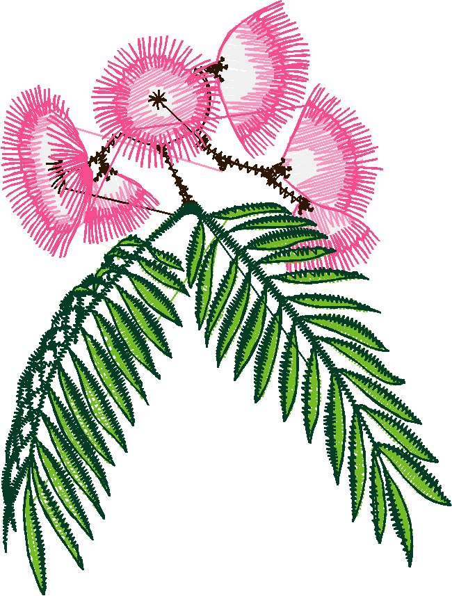 Exotic Flowers 1 (17)