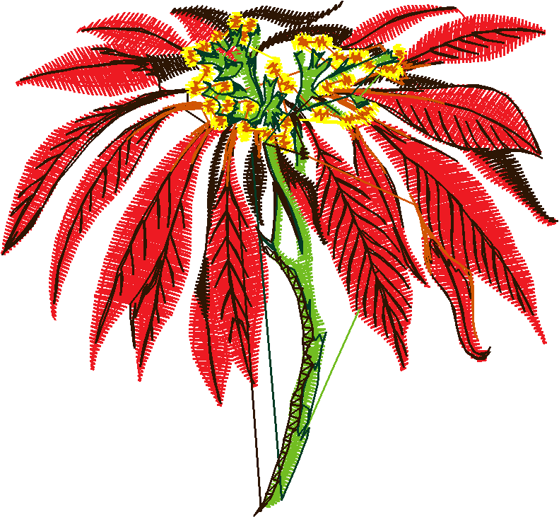 Exotic Flowers 1 (20)