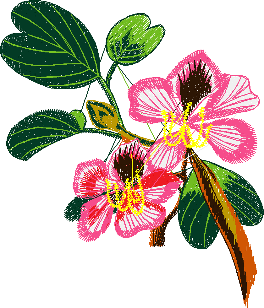 Exotic Flowers 1 (3)