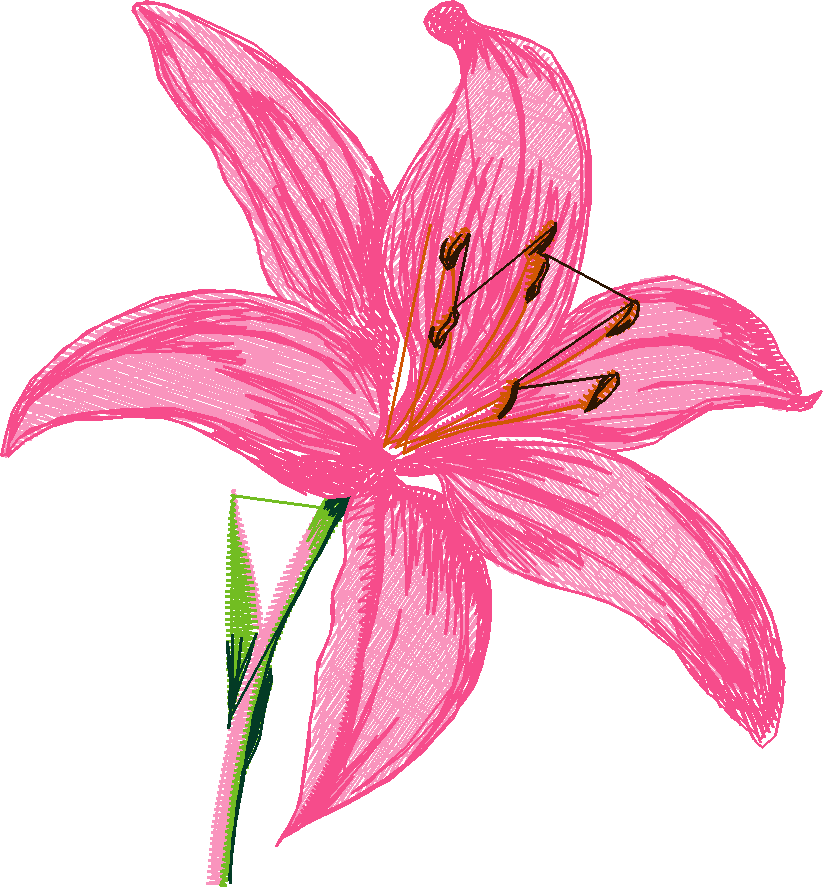 Exotic Flowers 1 (4)