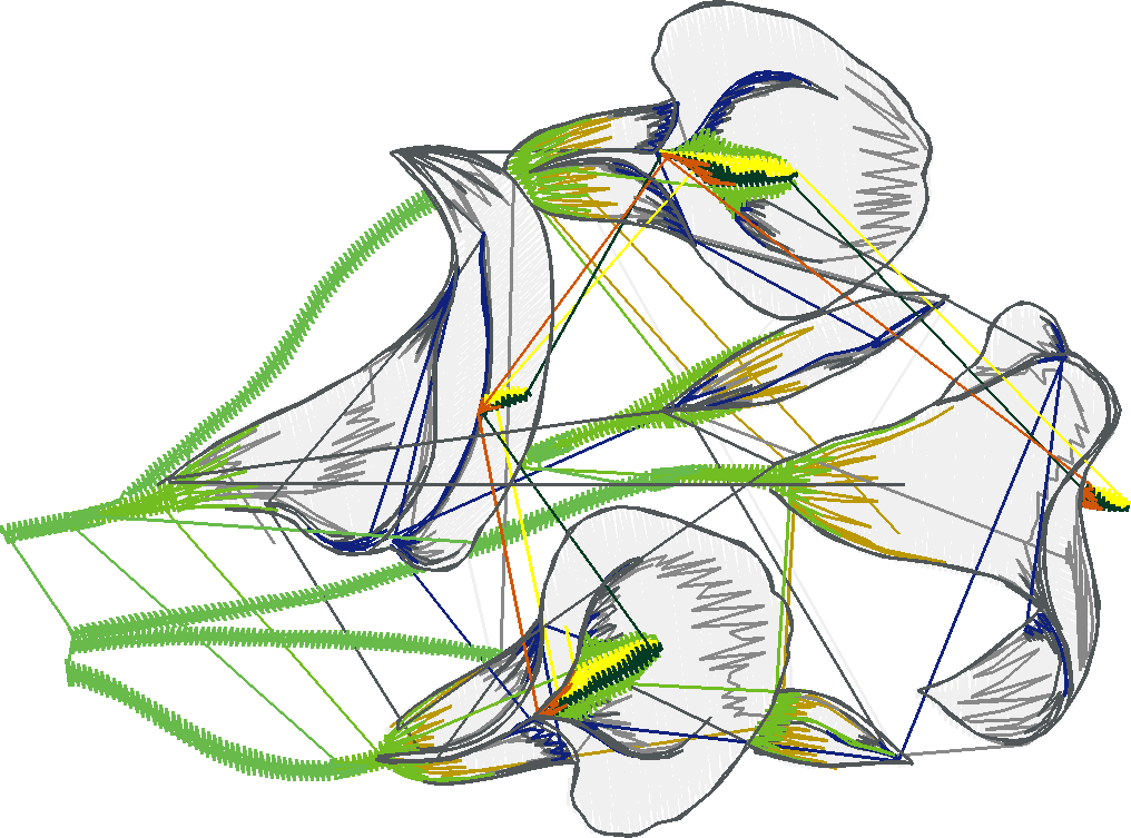 Exotic Flowers 1 (5)