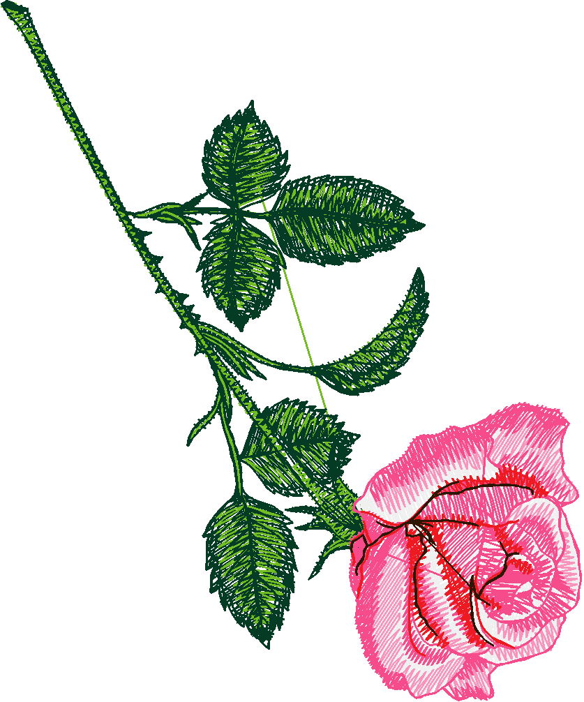 Exotic Flowers 1 (6)