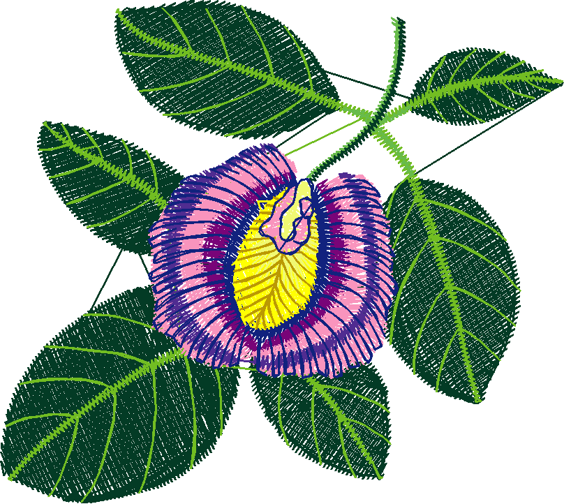 Exotic Flowers 1 (7)