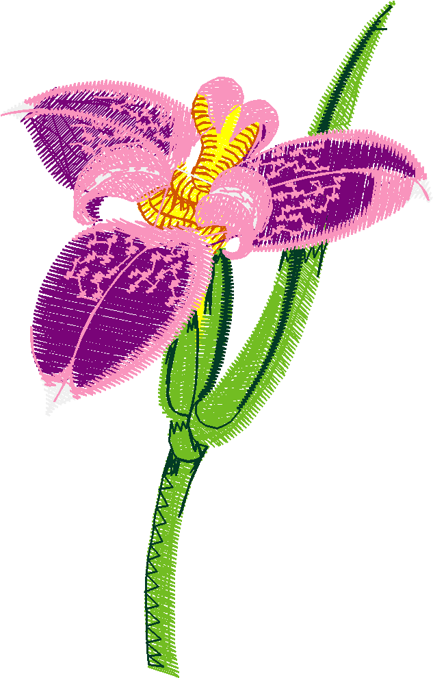 Exotic Flowers 1 (8)