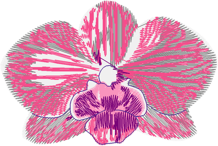 Exotic Flowers 2 (10)