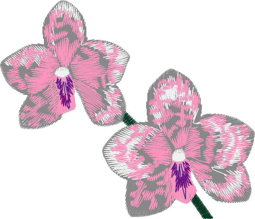 Exotic Flowers 2 (11)