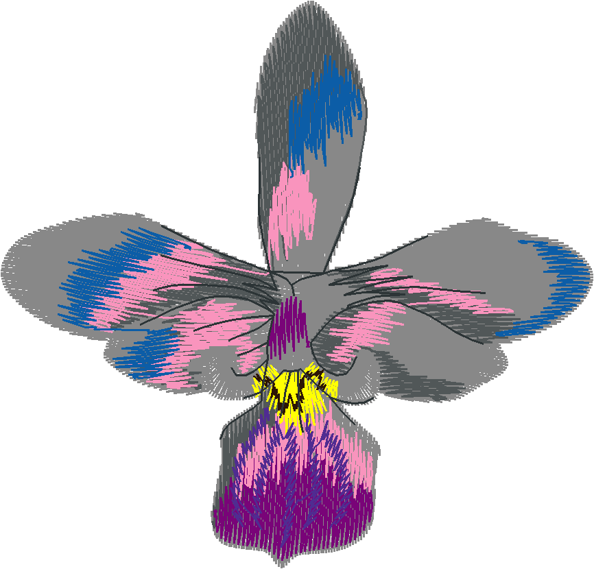 Exotic Flowers 2 (12)