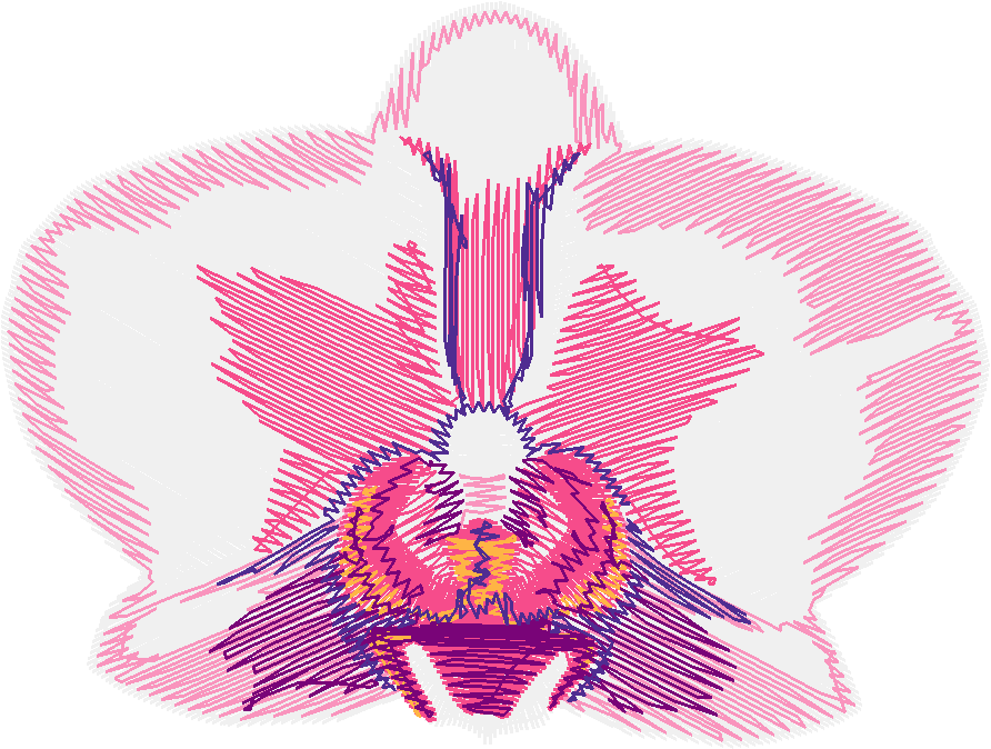 Exotic Flowers 2 (13)