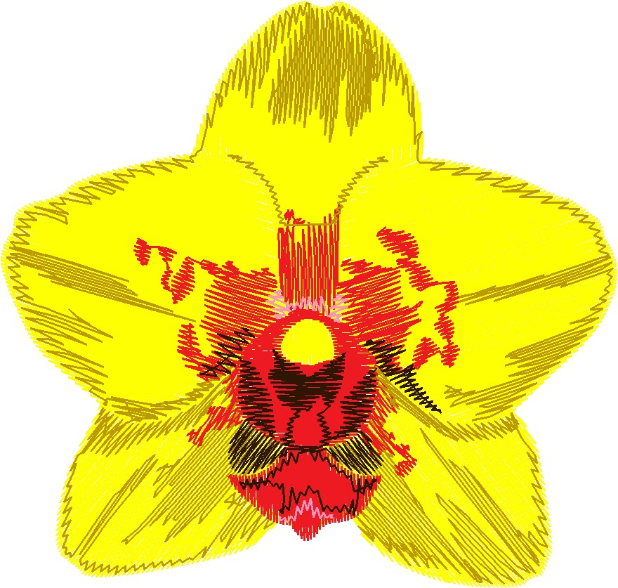 Exotic Flowers 2 (14)