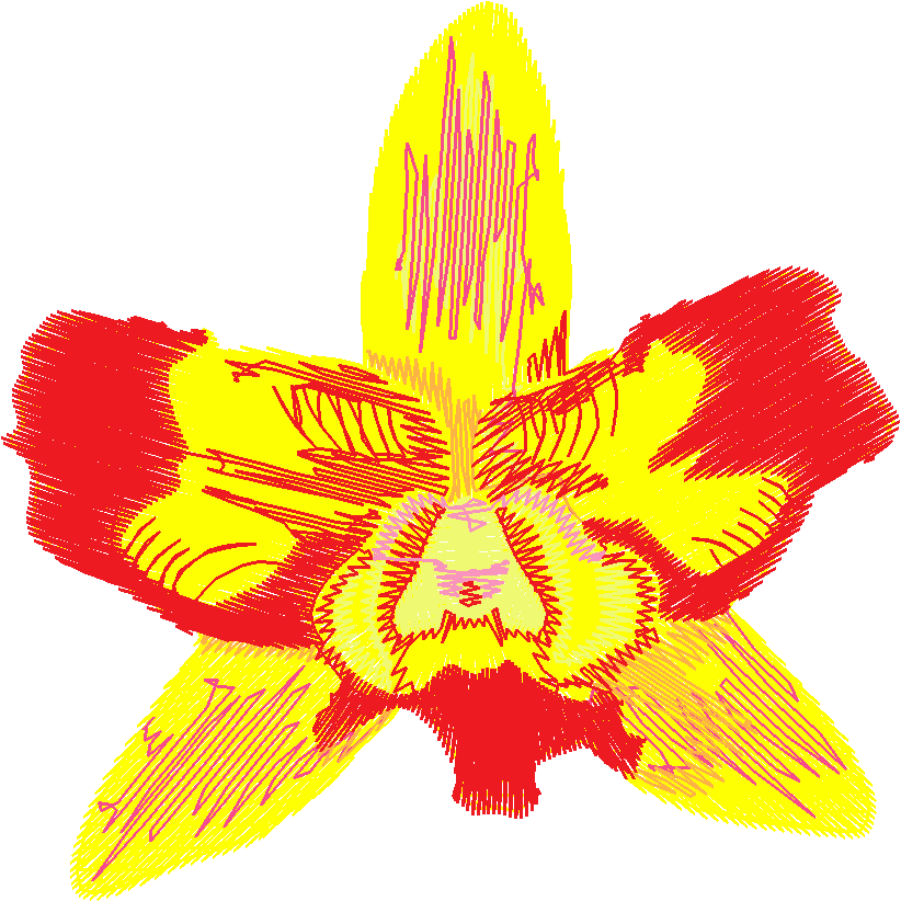 Exotic Flowers 2 (19)