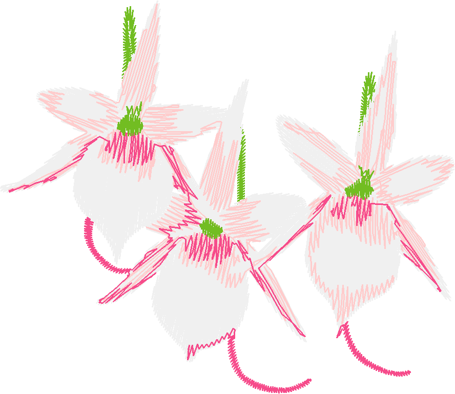 Exotic Flowers 2 (2)