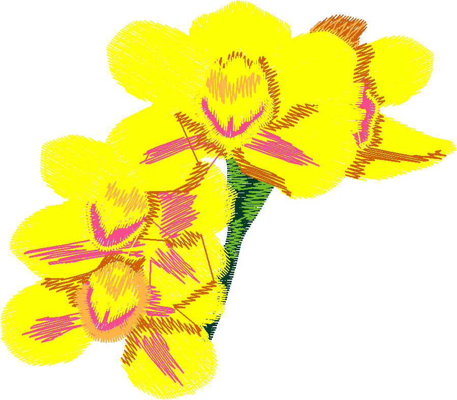 Exotic Flowers 2 (4)