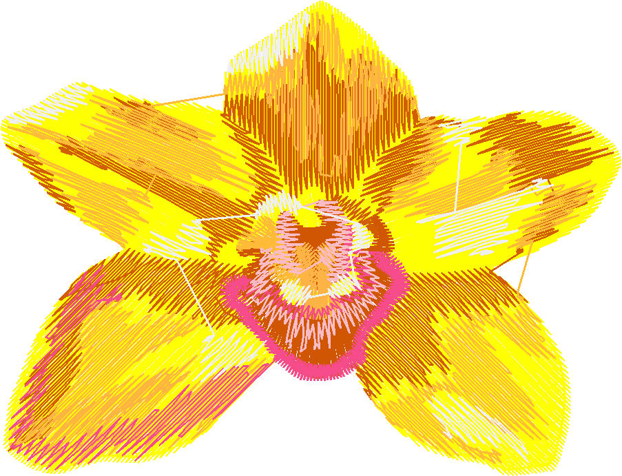 Exotic Flowers 2 (5)