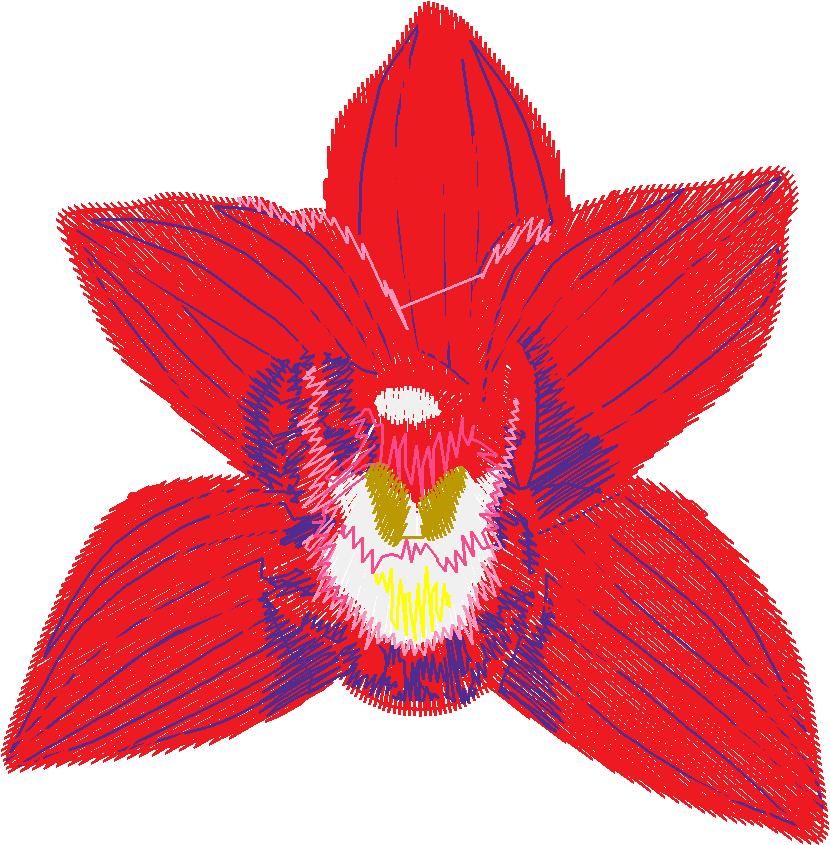 Exotic Flowers 2 (8)