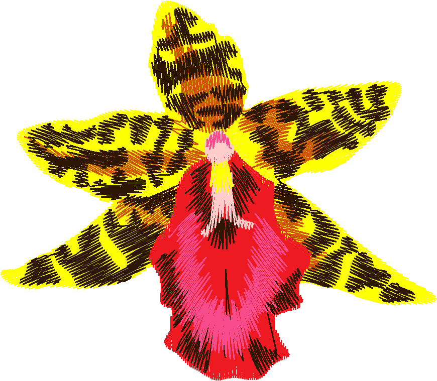 Exotic Flowers 2 (9)