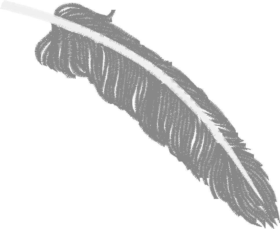 Fabulous Feathers  1 (1)