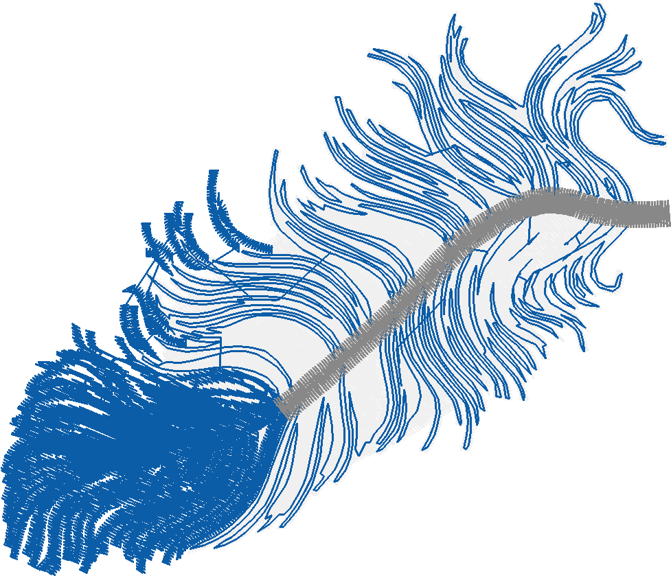 Fabulous Feathers  1 (3)