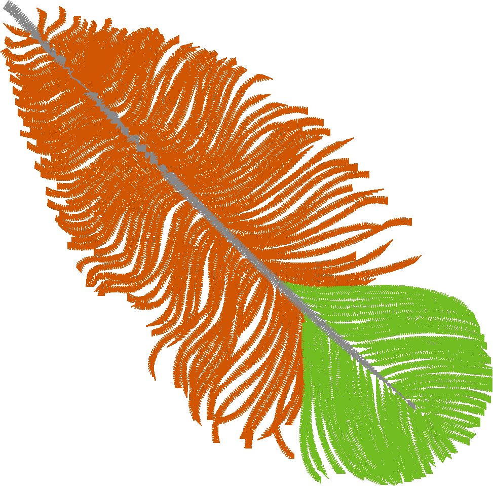 Fabulous Feathers  1 (4)