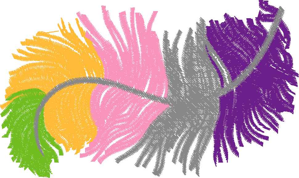 Fabulous Feathers  1 (7)