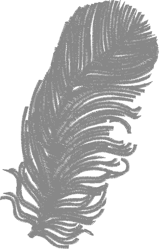 Fabulous Feathers  1 (8)