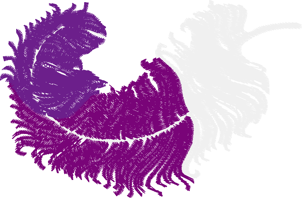 Fabulous Feathers  1 (9)