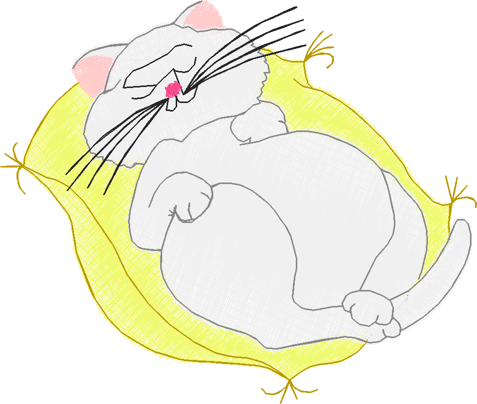 Fabulous Felines 1  (7)