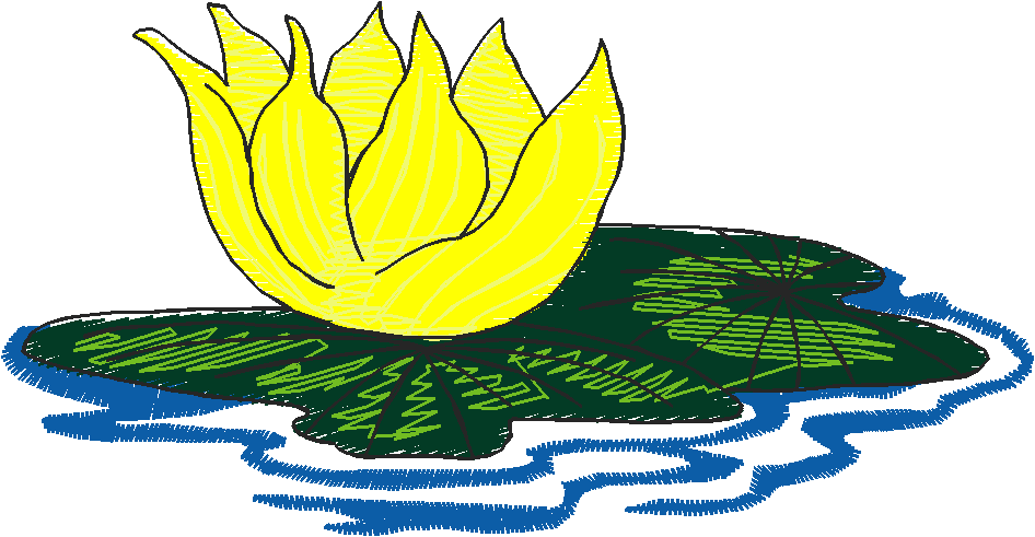 Fanciful Frogs 1  (12)