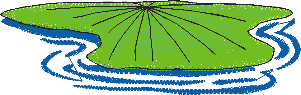 Fanciful Frogs 1  (5)