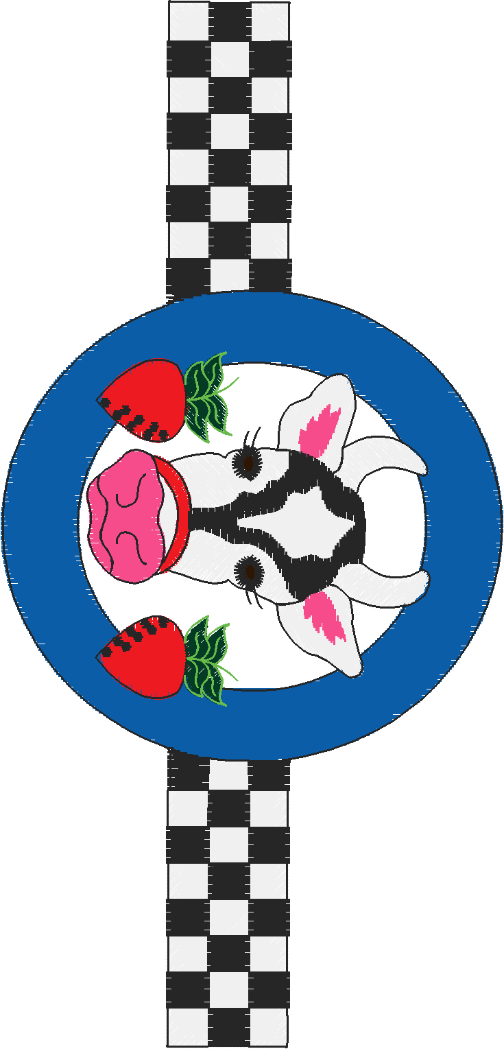 Fancy Pockets 1  (11)