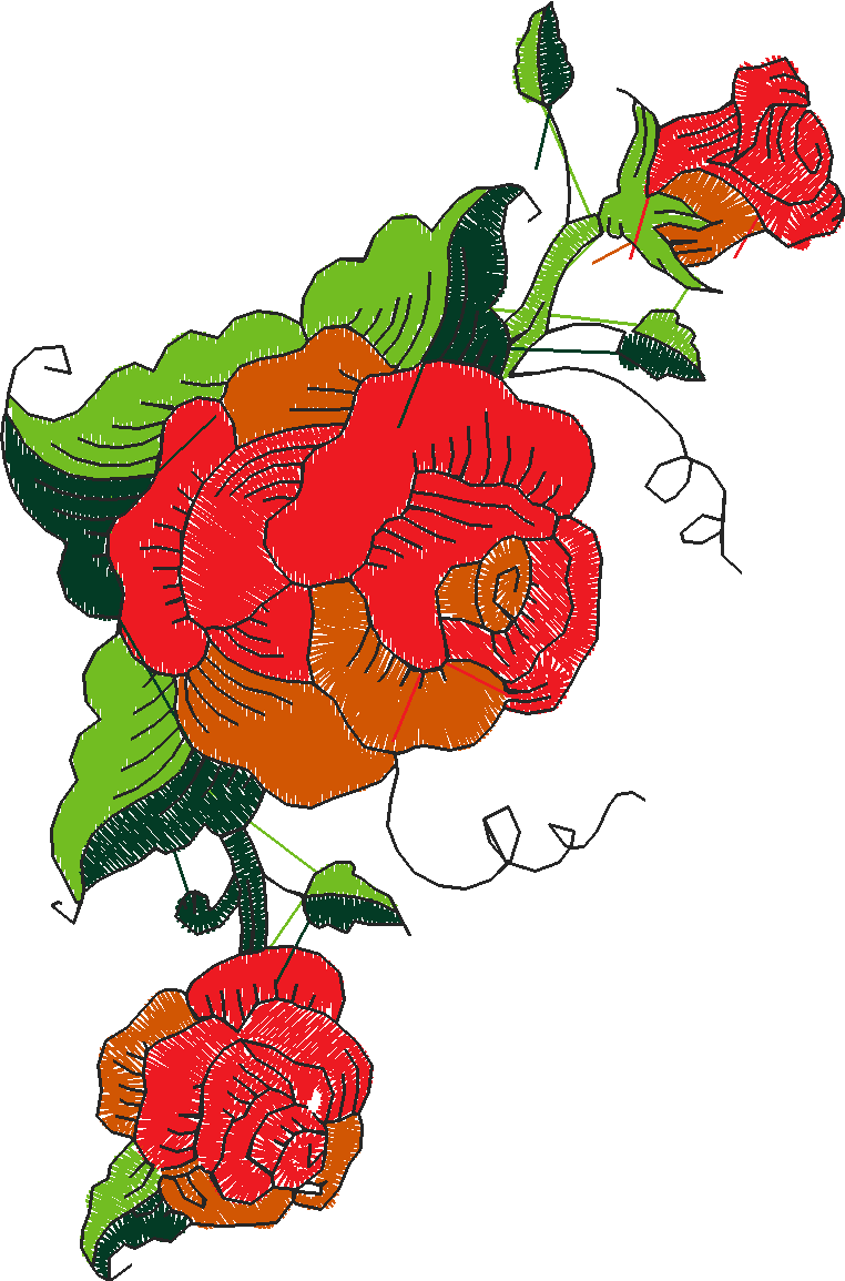 Fantastic Roses  1 (2)